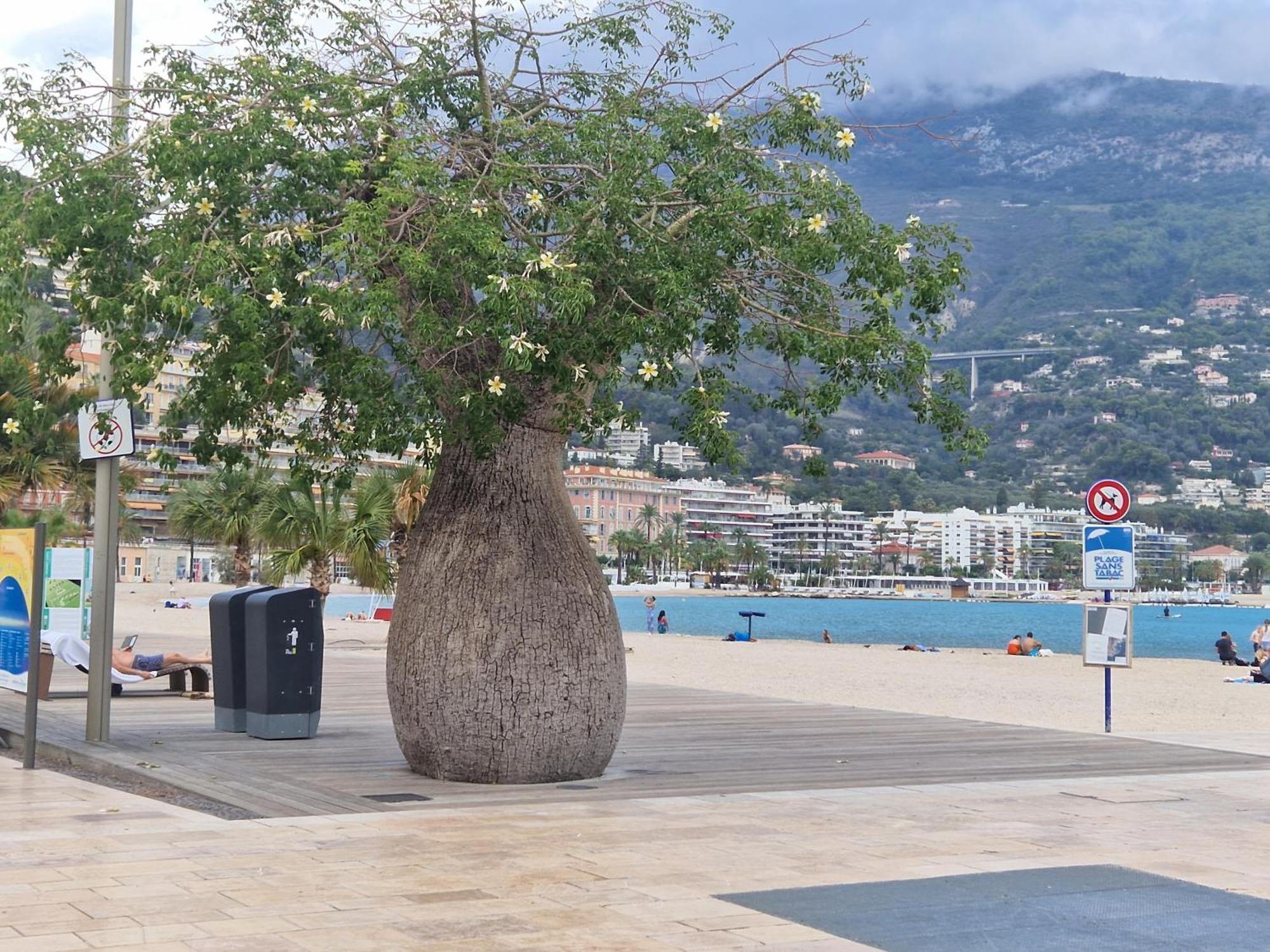 Le 182 Promenade Du Soleil Menton Exterior foto